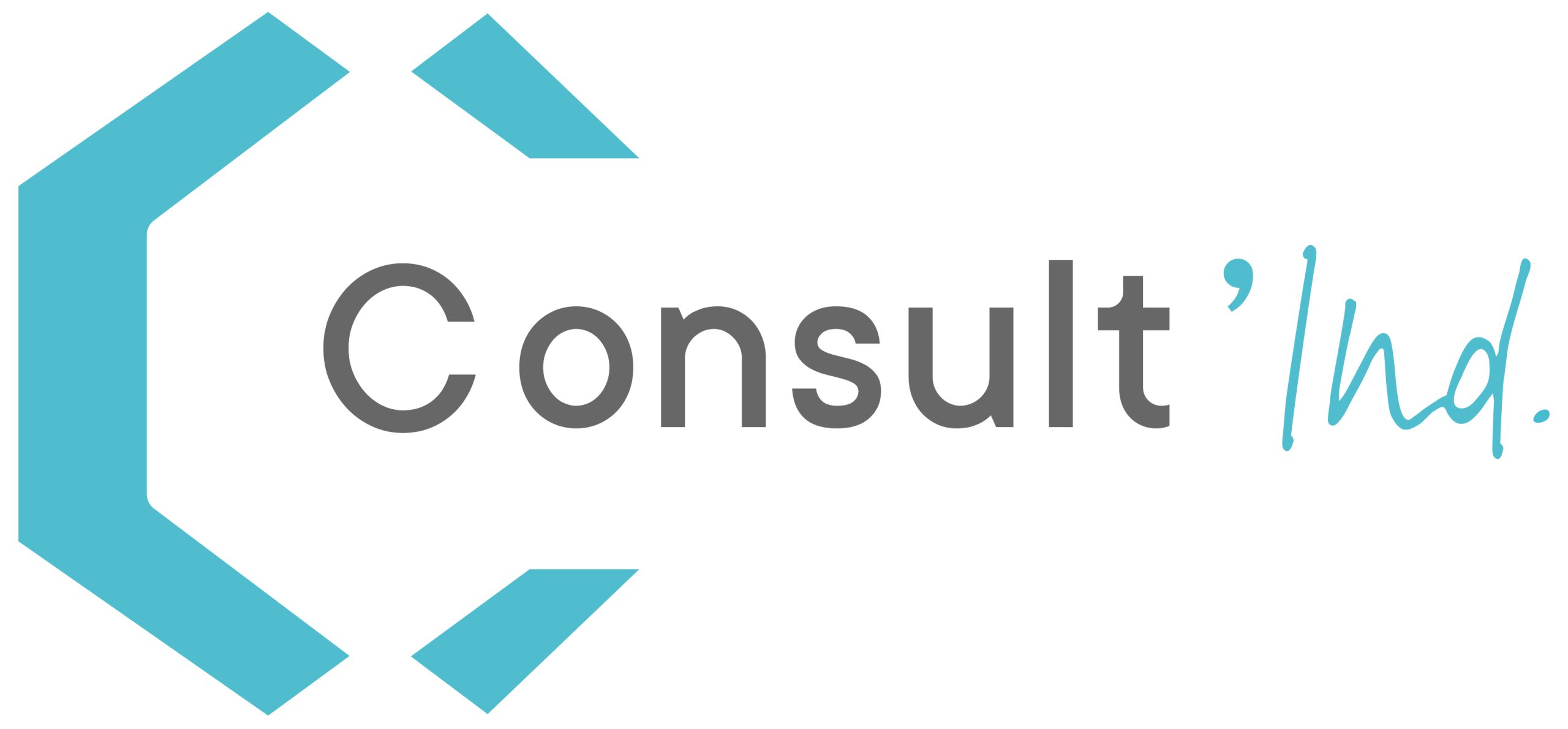 1_logo_consultind_CMJN