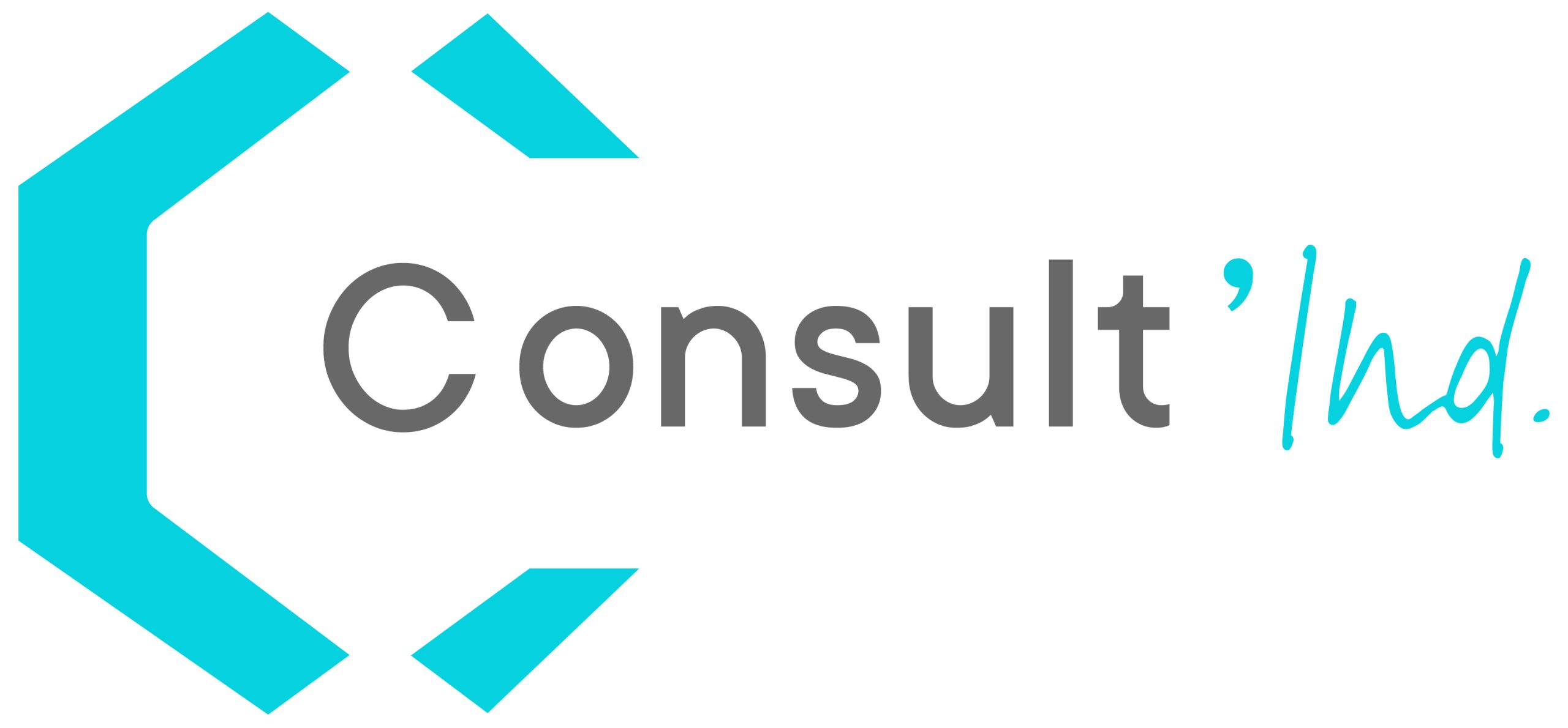 2_logo_consultind_RVB